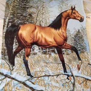 Horse Blanket